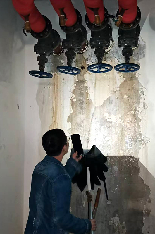 6888211977829.jpg 20250729003.jpg